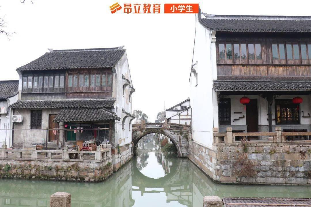 救援白色小猫